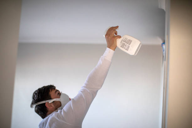 Best Mold Damage Repair  in Galt, CA