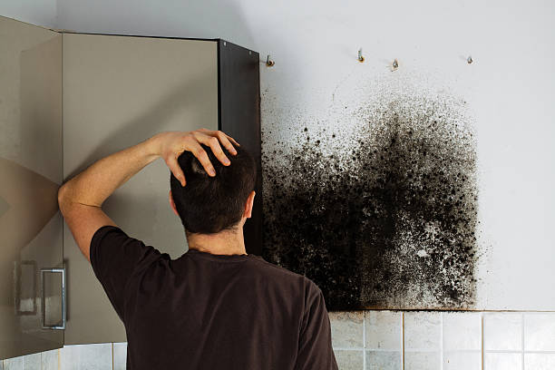 Best Fast Mold Removal  in Galt, CA